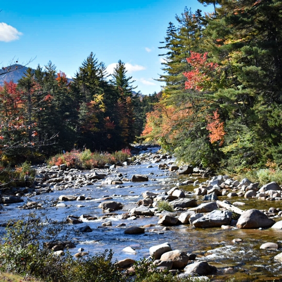 Meet the Posher Bethy! - Picture 1 of 1